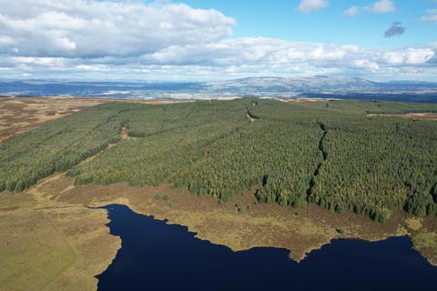 Land, in Earlsburn Forest, £890,000