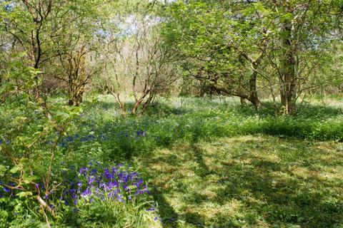 Studio, in Kilmichael Glen, £225,000