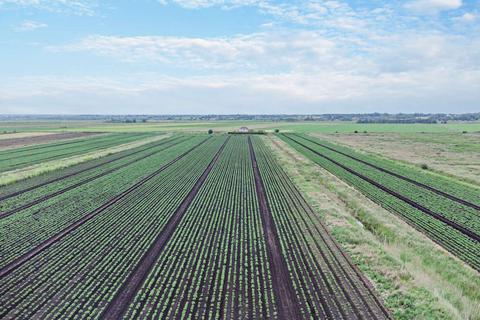 Land, in Branston Booth, £1,850,000