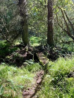Studio, in Nr The Bog, £65,000