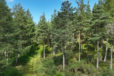 Land, in Craigmill Forest Estate, £5,750,000