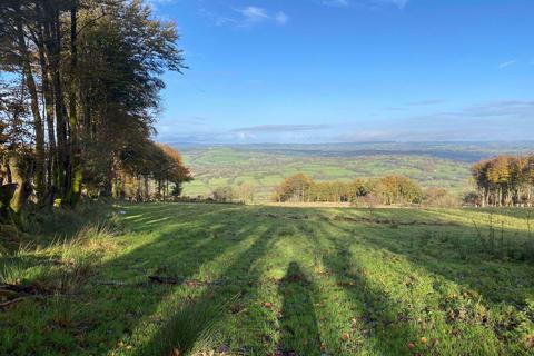 Land, in Llanfair Clydogau, £10,000