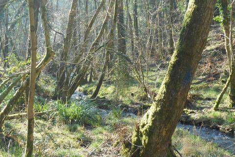Land, in Lyme Road, £60,000