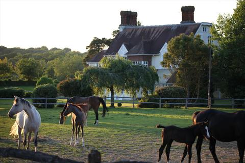 7 bed property, in Guildford Road, £3,500,000