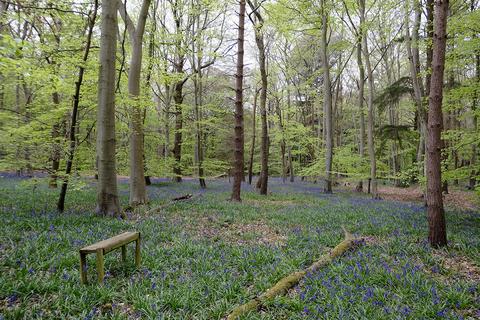 Land, in Witham Road, £68,000