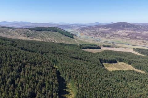 Land, in Torrish Forest, £3,100,000