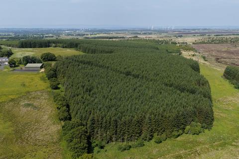 Studio, in Ardochrig Wood, £450,000
