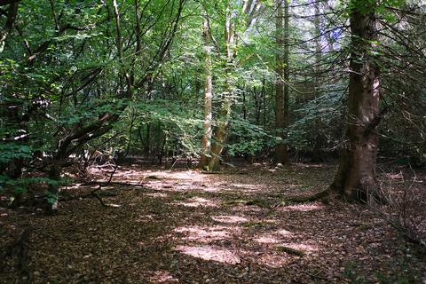 Land, in Deadman's Lane, £80,000