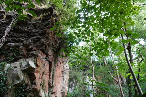 Land, in Bickley Quarry Wood, £78,000