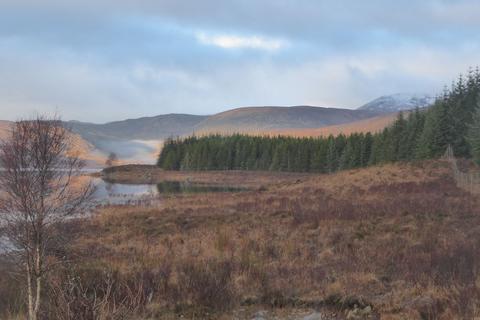 Studio, in Loch Shinside Wood, £170,000