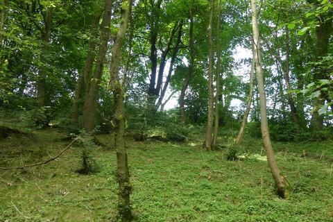 Studio, in Highview Wood, £39,500