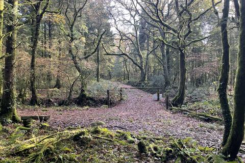 Land, in Coed Ffordd Pererin, £70,000