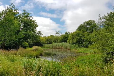 Studio, in Carminow Wood (8 acres) - Ashwater, £139,000
