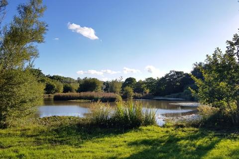 Studio, in Bradaford Wood  (over 3 acres), £49,000