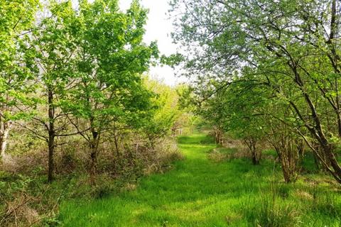 Studio, in Heggadon Wood, £75,000