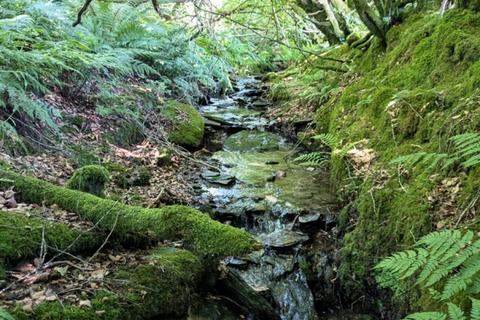 Studio, in Berry Hill Wood, £69,000