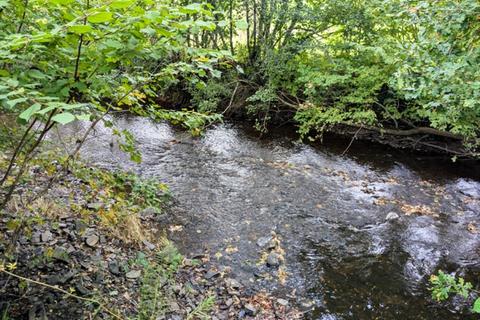 Studio, in Clinton Wood, £59,000