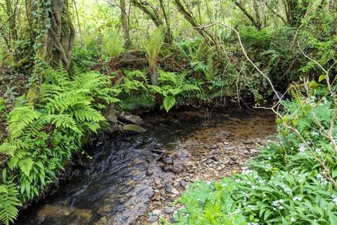 Studio, in Trehele Copse & Meadow, £85,000