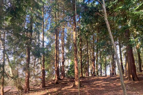 Studio, in Monkswood Wood (about 6 acres), £95,000