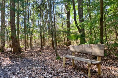 Studio, in Hurdle Wood (4.75 acres), £75,000