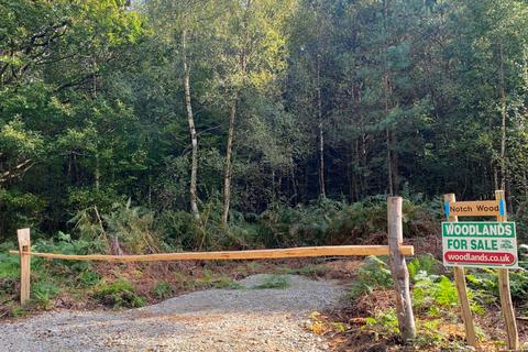 Studio, in Notch Wood (4.5 acres), £89,000