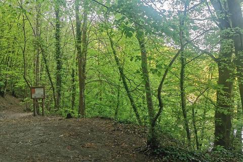 Land, in Harewood, £15,000