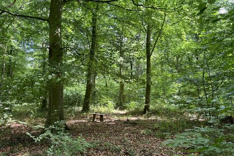 Studio, in Spain Wood (4 and three quarter acres), £95,000