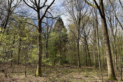 Studio, in Kettle Copse (over 4 acres), £85,000