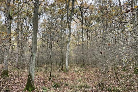 Studio, in Chanters Wood (6 and a quarter acres), £125,000