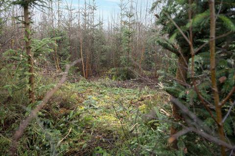 Studio, in Haulton Wood (about 2 and three quarter acres), £45,000