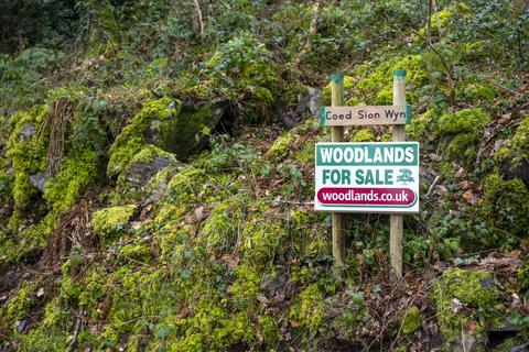 Studio, in Coed Sion Wyn (about 5 and a half acres), £59,000