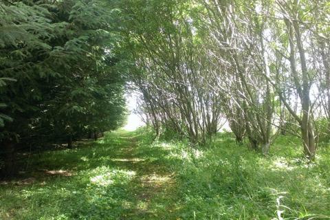 Studio, in Garth Wood (about 7 acres), £59,500