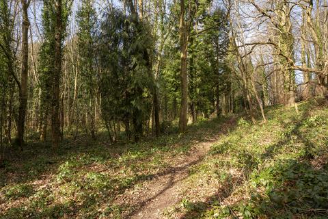 Studio, in Elslow Coppice (almost 21 acres), £245,000