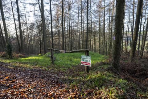 Studio, in Nipstone Wood (about 3 acres), £45,000