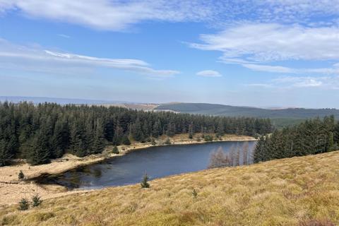 Studio, in Coed Llyn y Gwaith (over 26 and a half acres), £345,000