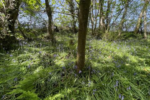Studio, in Coed Sena (just over 5 acres), £65,000