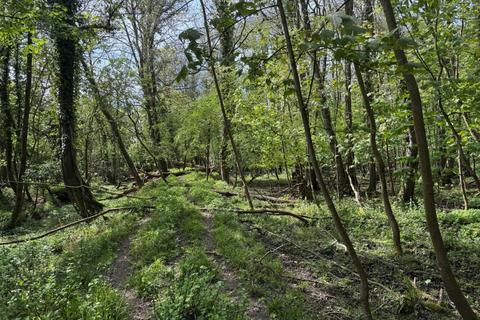 Studio, in Land East Of East Dean House, £4,000