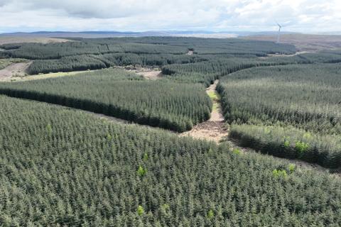Studio, in Craigdow Forest, £2,300,000