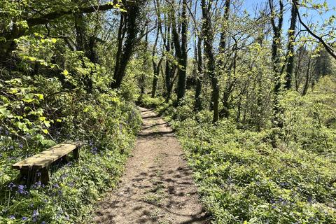 Land, in Blisland, £40,000