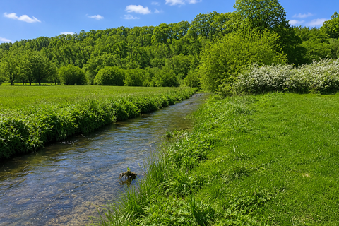 Land, in Slaughterford, £150,000