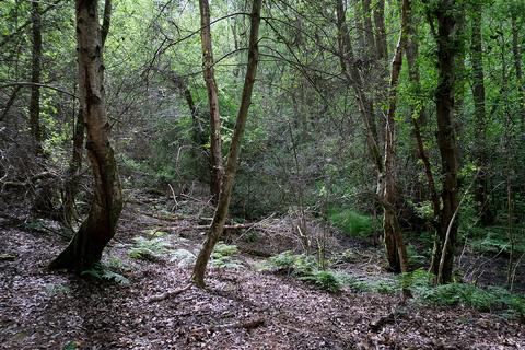 Studio, in Powder Mill Lane, £96,000