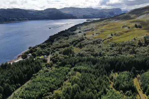 Studio, in Strome Carronagh Forest, £1,350,000