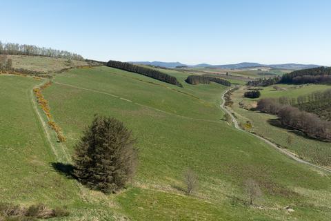 Studio, in Balchimmy Plantation, £2,500,000