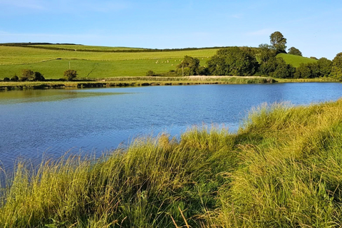 Land, in St. Clears, £360,000