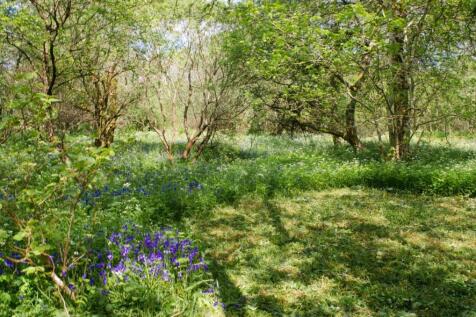 Land, in Kilmichael Glen, £225,000