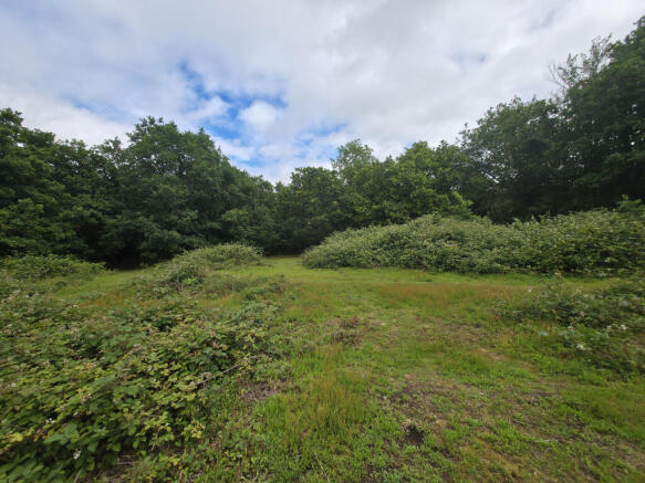 Studio, in Plot 24, £15,000