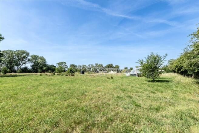 Land, in Donkey Sanctuary, £300,000