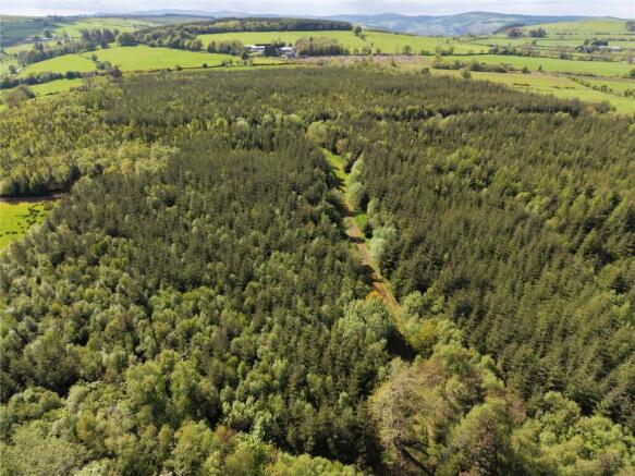 Land, in Mount Wood, £6,500