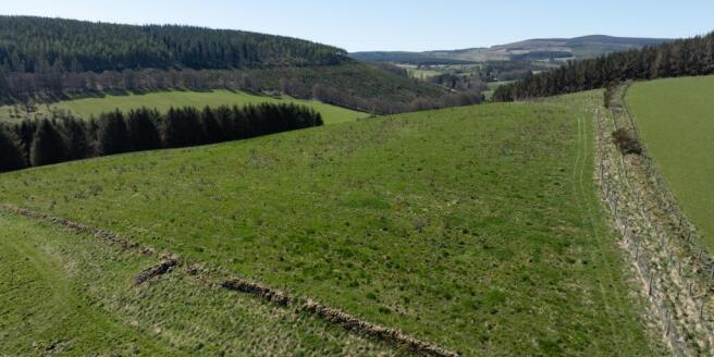 Land, in Balchimmy Plantation, £2,500,000