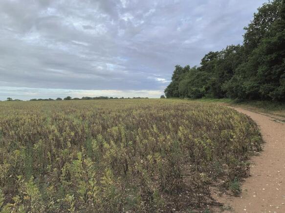 Land, in Land at Shepherds Walk, £3,000